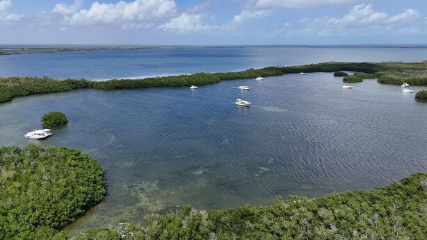 Una zona costera con barcos en un mar tranquilo, rodeada de vegetación densa.