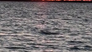 Un atardecer sobre un cuerpo de agua con la silueta de la costa a lo lejos.
