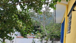 A backyard with a swimming pool, a chair, and potted plants.