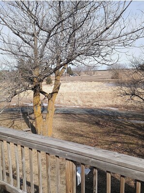 المنطقة المحيطة بالمنشأة