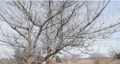 Charming 2-bedroom farmhouse upper level in peaceful Saint Croix Falls