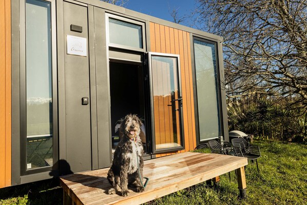Un bâtiment moderne et compact, doté d’une terrasse en bois, sur laquelle est assis un chien, et d’un espace patio avec des chaises.
