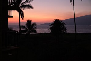 Vista desde la propiedad