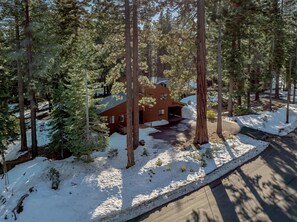 A cabin surrounded by tall pine trees with a snow-covered ground.
