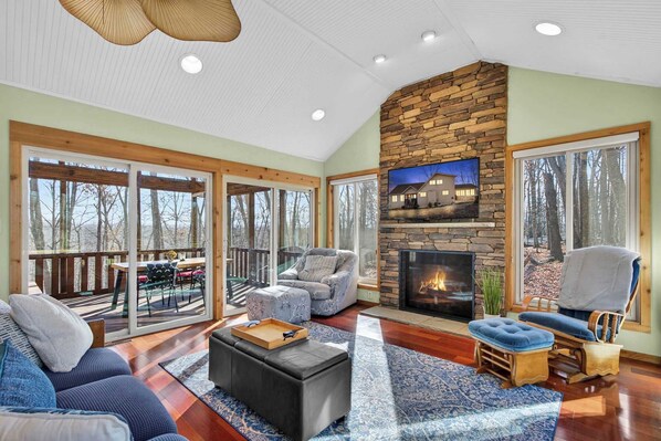 TV, fireplace, books