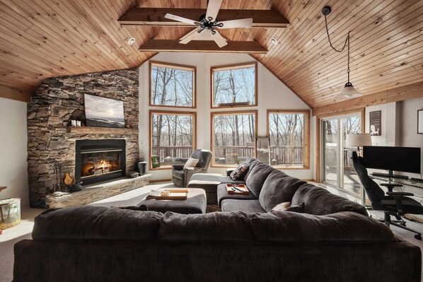 TV, fireplace, books