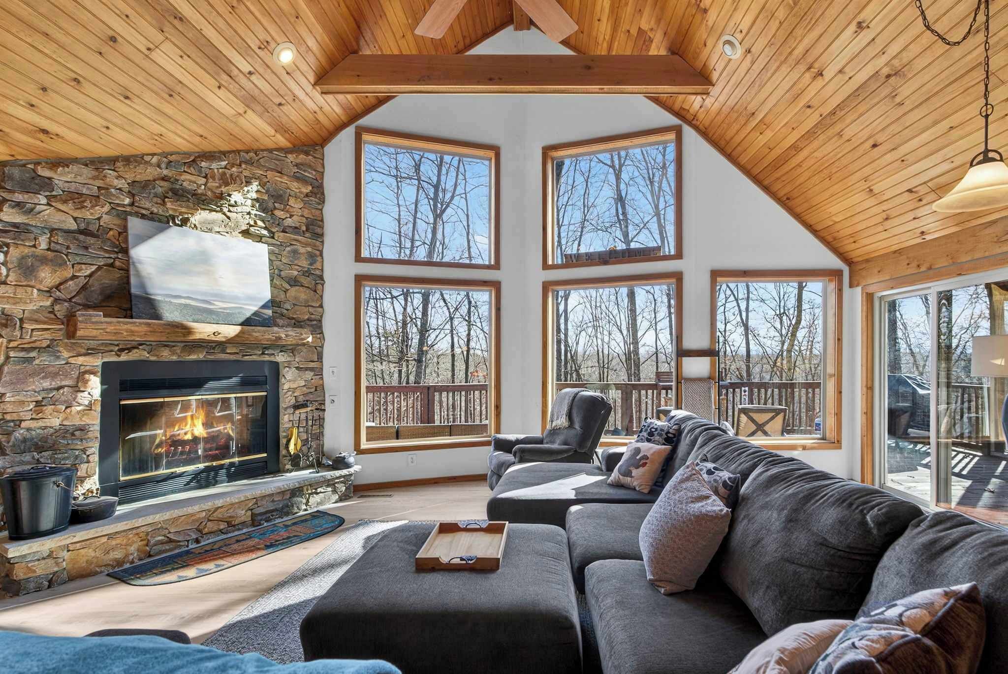 TV, fireplace, books