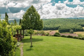 Property grounds - Podere Tignano, 4-bedroom villa in the Chianti! (Barberino di Val d'Elsa)