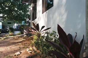 Un camino lleva a un edificio de fachada blanca y una ventana. Hay plantas a lo largo del sendero, y un árbol da sombra.