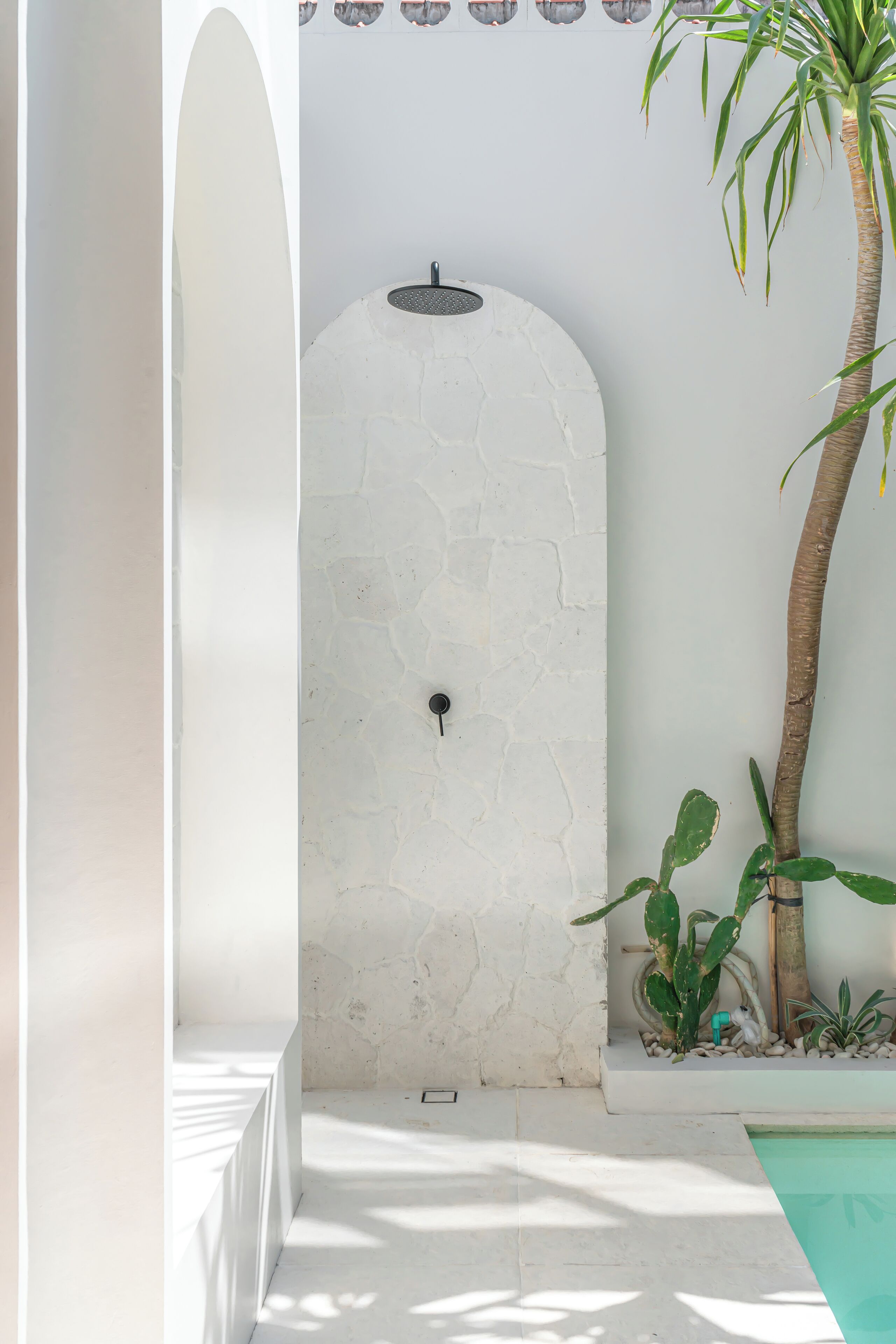 Ein modernes Duschbad mit Steinwand, kleinem Waschbecken und einer Zimmerpalme.