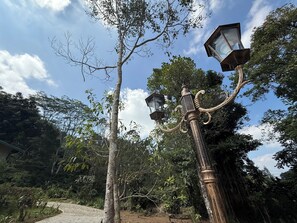 Garden - Watawala Tea Plantation Bungalow (Watawala)