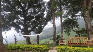 A wooden bench and a hammock in a natural setting with trees and a view of a hilly landscape. - The Gundumalai Bungalow  (Suryanelli)