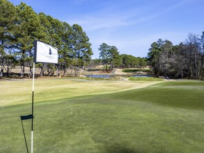 Golf - The Elm at Ducks Landing (Aberdeen)