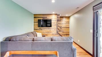 TV, fireplace, books, stereo