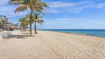 Une plage de sable fin, bordée de palmiers, sous un ciel bleu azur.