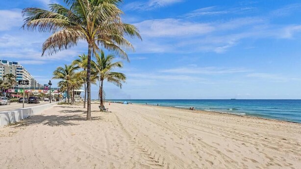Une plage de sable bordée de palmiers, un ciel bleu azur et une mer calme.