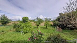A garden with various plants and trees, including a neatly trimmed bush and a flowering plant. - Quiet, 70s-style house with large garden in the heart of the Lot et Garonne region (Saint-Étienne-de-Fougères)