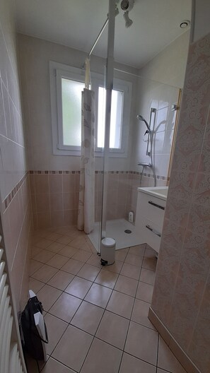 Shower, hair dryer, soap, toilet paper