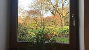 Een raam met uitzicht op een tuin en bomen.