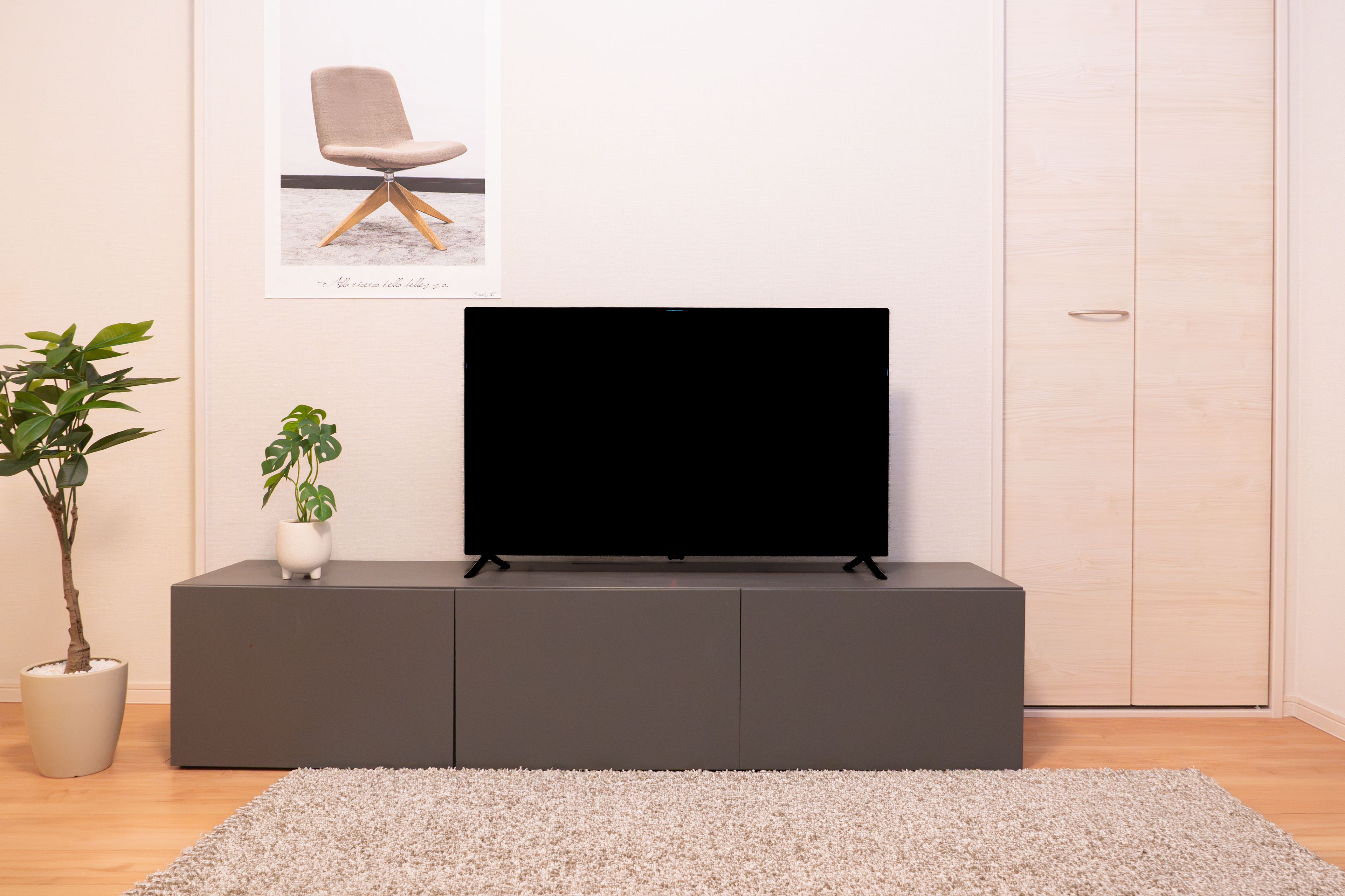A modern living room with a flat-screen TV on a dark grey cabinet, a light-colored rug, and a potted plant.