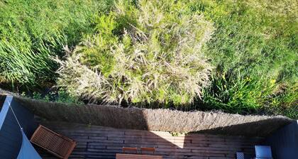 Seaside garden apartment 20 metres from the beach