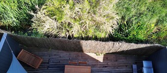 Seaside garden apartment 20 metres from the beach