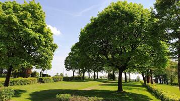 A park with large trees, a well-maintained lawn, and a clear sky.