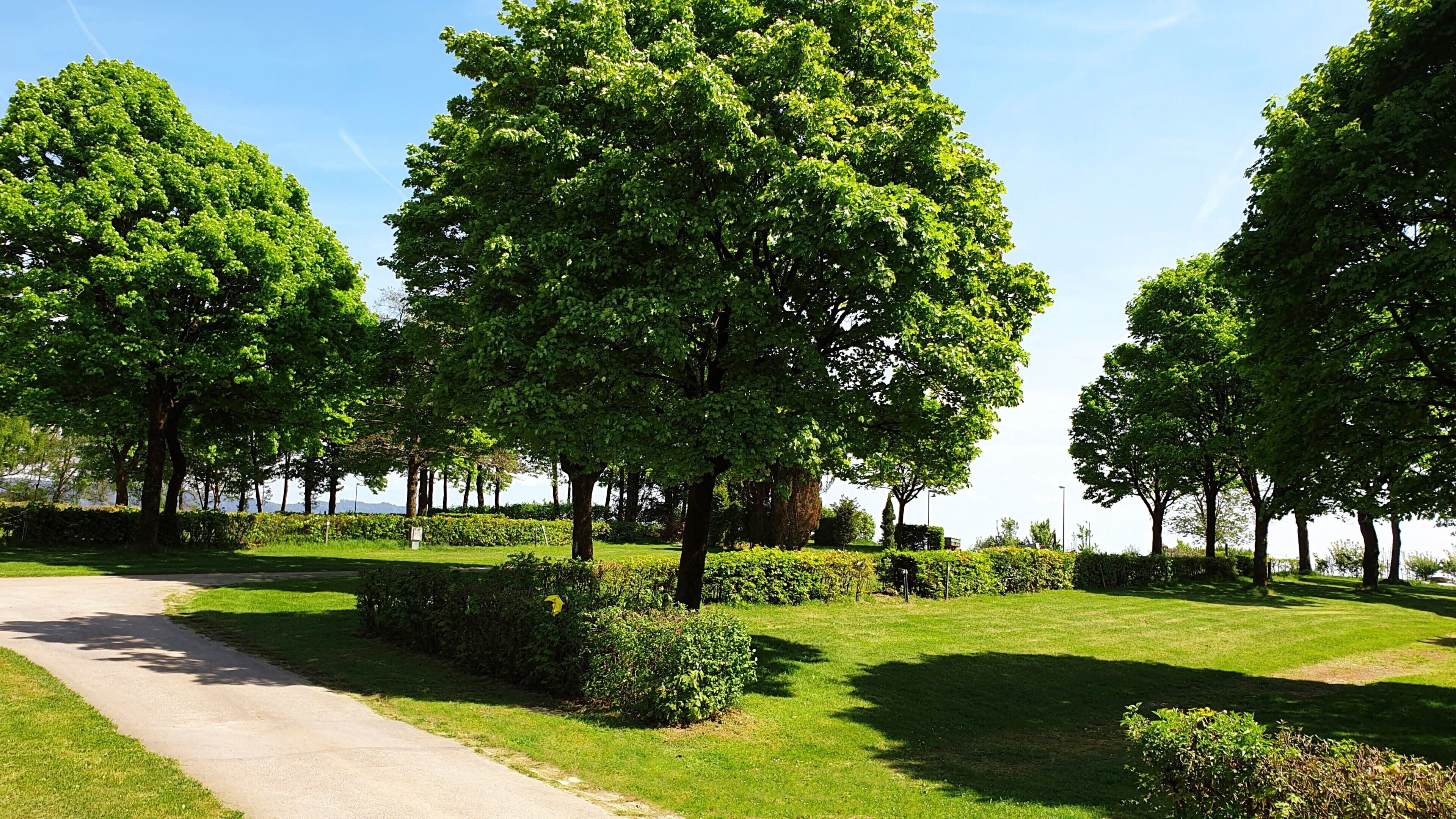 Ein Weg, der durch einen Park mit Bäumen und gepflegtem Rasen führt.