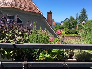 Ein Haus mit einem geneigten Dach, einem Ziegelkamin und einem Garten mit verschiedenen Pflanzen und Blumen.