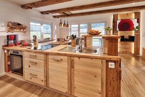 Fridge, oven, stovetop, dishwasher - Apartment 'Fuchsbau, 100 Qm' with Mountain View, Private Terrace and Wi-Fi (Eisenbach (Hochschwarzwald))