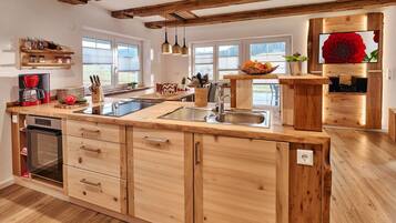 Fridge, oven, stovetop, dishwasher