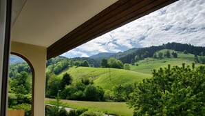 A view from a window with a wooden ceiling, overlooking a green landscape with hills and trees.