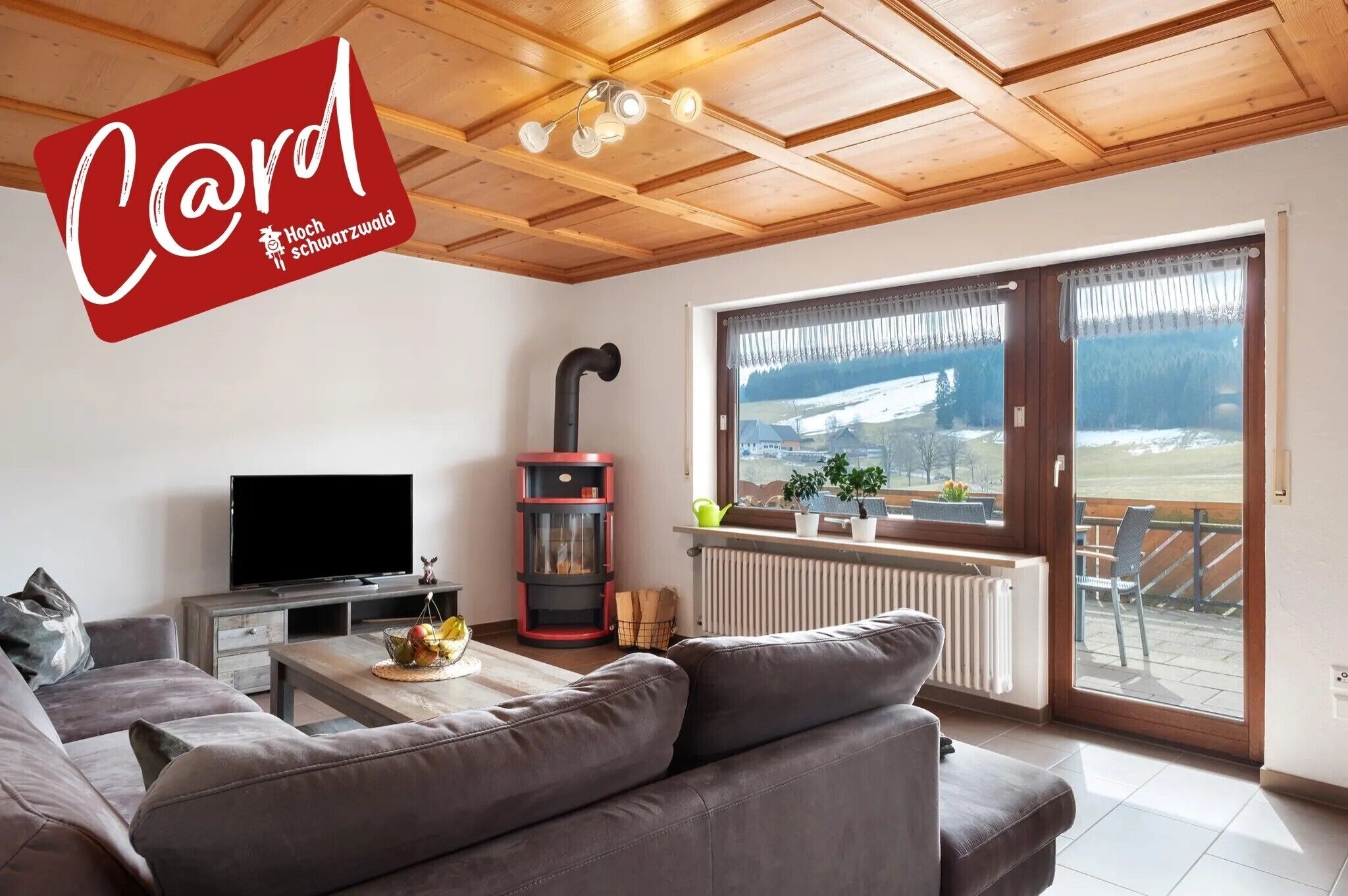 TV, fireplace, ping pong, stereo