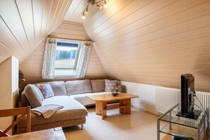 TV, tavolo da ping pong, impianto stereo