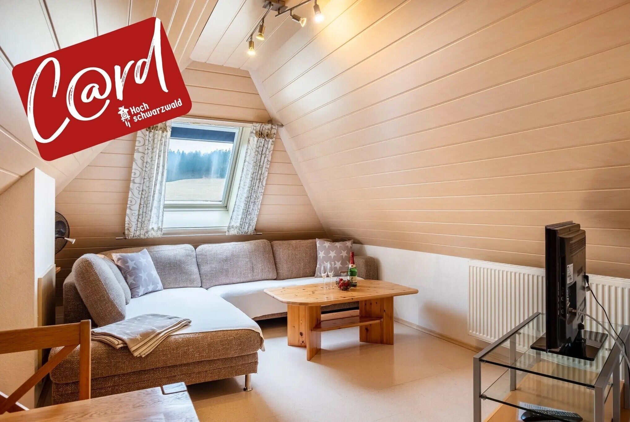 TV, ping pong, stereo