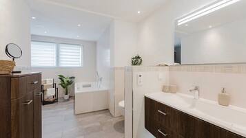 Shower, hair dryer, towels