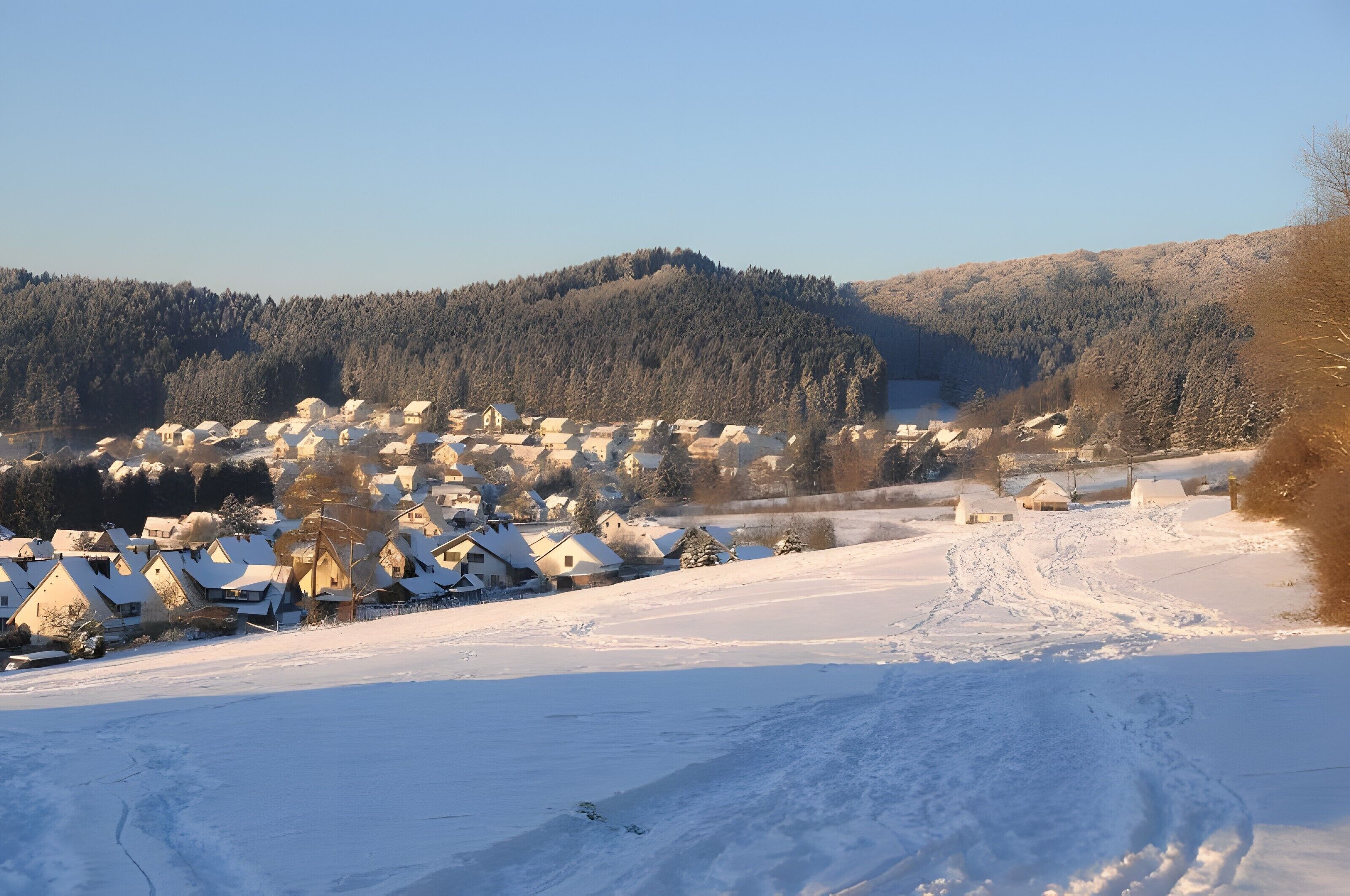 A snow-covered village with houses and a forested hill in the background.
