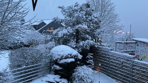 A snow-covered outdoor area with a decorative star, a small pond, and snow-laden trees. - Holiday Apartment 'Auszeit' with Private Terrace, Shared Garden and Wi-Fi (Arnsberg)