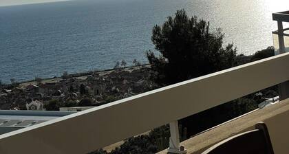 F3 AJACCIO SANGUINAIRES