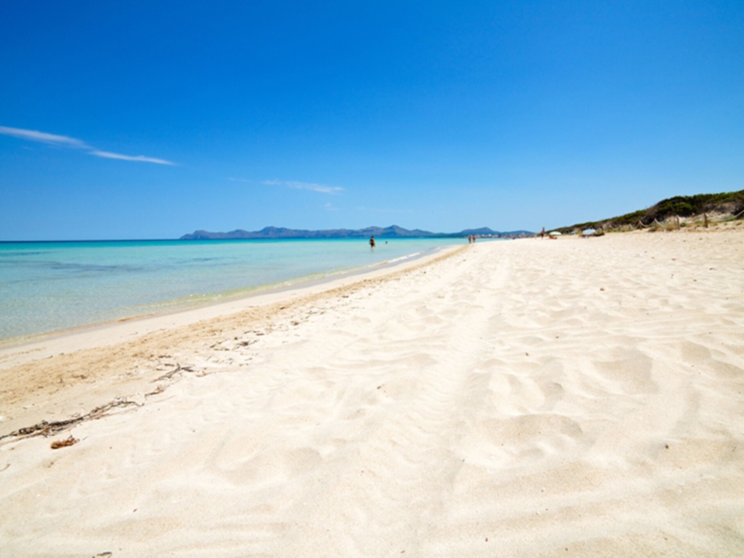 Playa en los alrededores 