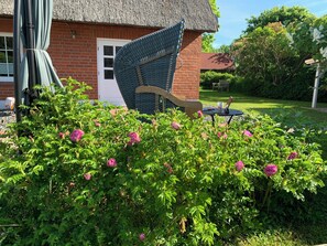 Un jardín con plantas en flor, una casa de ladrillo con techo de paja y mobiliario exterior.