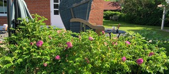 Reed-roofed FH with beach chair in the garden and close to the beach