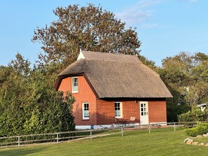 Exterior - Reed-roofed FH with beach chair in the garden and close to the beach (Dranske)