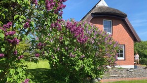 A traditional thatched-roof house with a brick exterior, surrounded by a well-maintained garden with blooming purple flowers. - Reed-roofed FH with beach chair in the garden and close to the beach (Dranske)