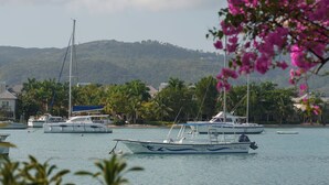 A marina with several boats docked, surrounded by palm trees and a hilly landscape in the background.