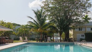 A swimming pool with lounge chairs and palm trees.