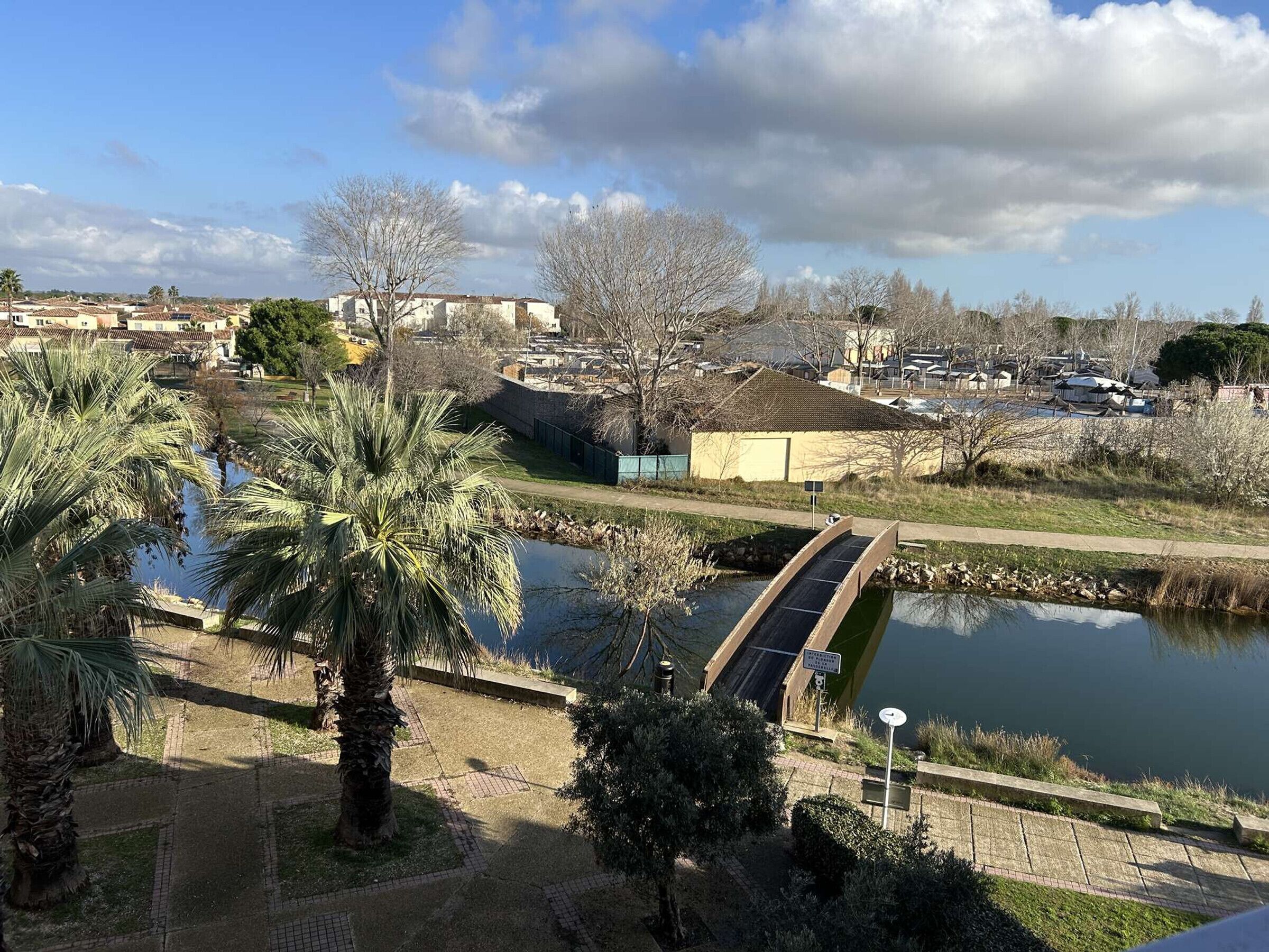 A park with a bridge over a pond, palm trees, and a building in the background.
