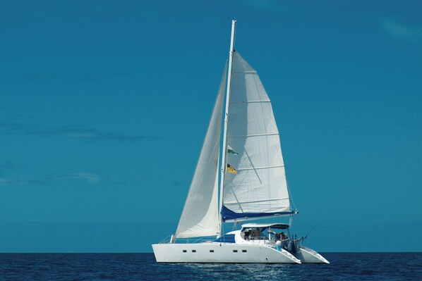 A white sailboat with a blue cabin and a single mast, sailing on a calm sea. - Sleep Under the Stars on a Sailing Catamaran near Amsterdam (Monnickendam)