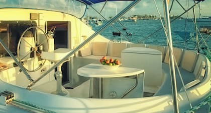 Sleep Under the Stars on a Sailing Catamaran near Amsterdam