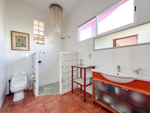 Shower, hair dryer, towels